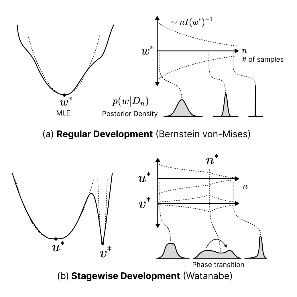 Influence Dynamics and Stagewise Data Attribution